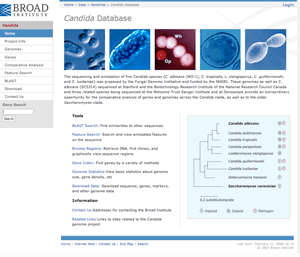 Fungal Genome Comparative Sites