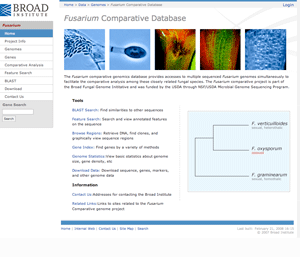 Work Web43