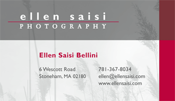 Ellen Saisi Photography