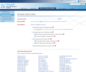 Work Web44